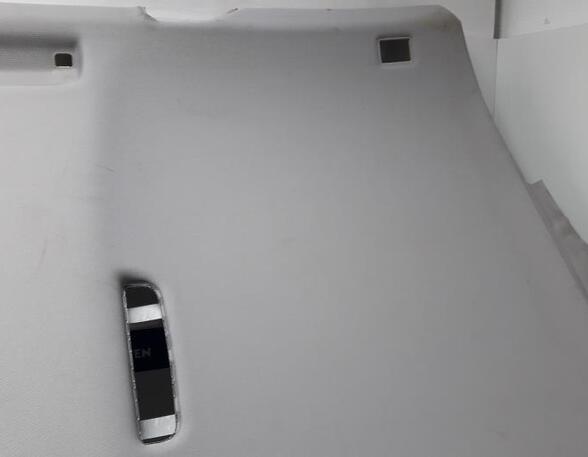 Front roof paneel AUDI A6 Avant (4F5, C6)