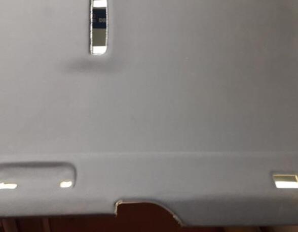 Front Interior Roof Trim Panel AUDI A6 Avant (4F5, C6)