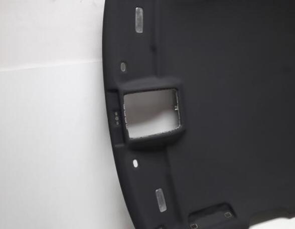 Front Interior Roof Trim Panel AUDI A3 (8P1), AUDI A3 Sportback (8PA)