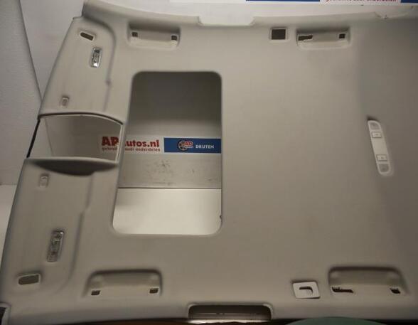 Front Interior Roof Trim Panel AUDI A6 Avant (4F5, C6)