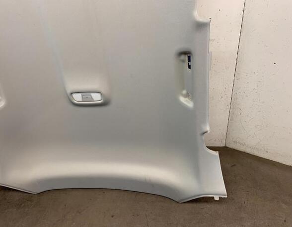 Front Interior Roof Trim Panel AUDI Q3 (8UB, 8UG), AUDI Q3 (F3B)