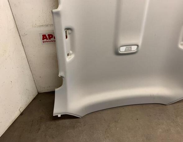 Front Interior Roof Trim Panel AUDI Q3 (8UB, 8UG), AUDI Q3 (F3B)