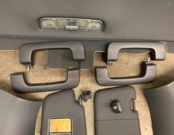 Front Interior Roof Trim Panel AUDI A3 (8P1), AUDI A3 Sportback (8PA)