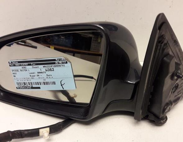 Wing (Door) Mirror AUDI A6 Avant (4F5, C6)