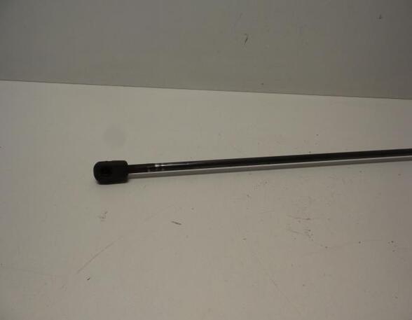 Gas Spring AUDI A4 (8K2, B8)