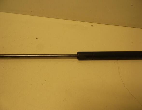 Gas Spring AUDI A4 Avant (8ED, B7)