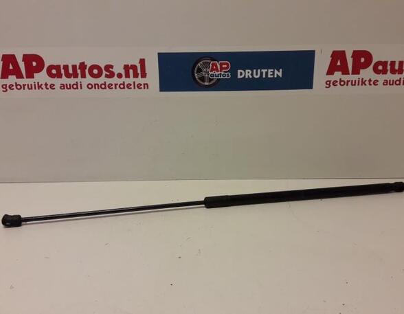 Gas Spring AUDI A6 (4F2, C6)