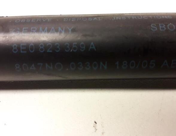 Gas Spring AUDI A4 (8EC, B7)