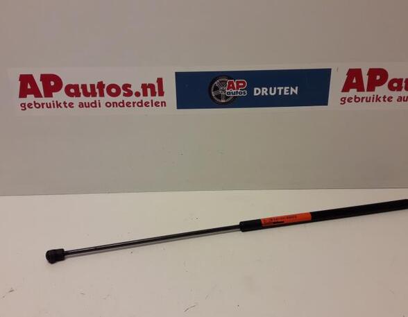 Gas Spring AUDI A4 Avant (8E5, B6)