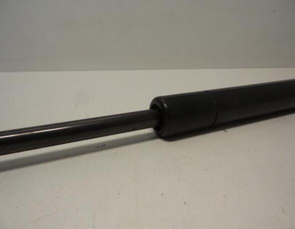 Gas Spring AUDI A3 (8L1)