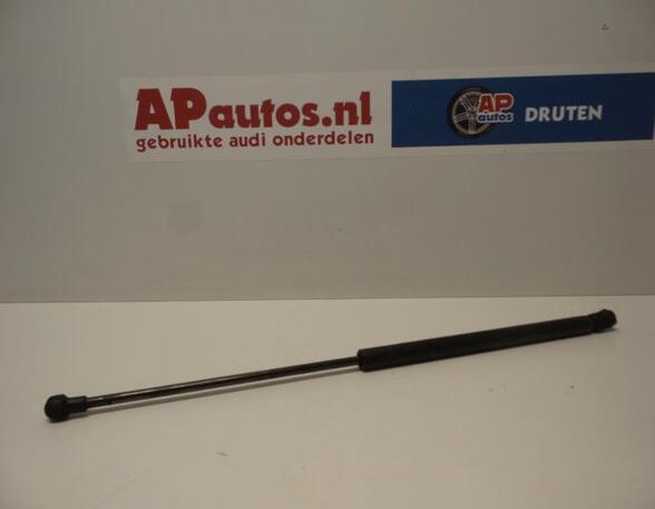 Gas Spring AUDI A3 (8L1)