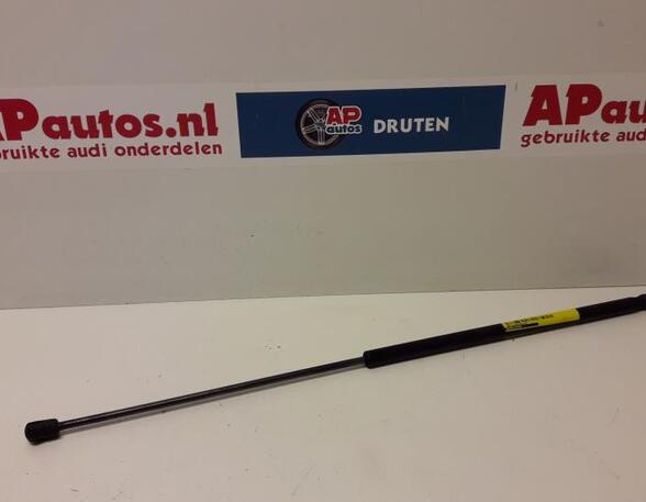 Gas Spring AUDI A4 Avant (8E5, B6)