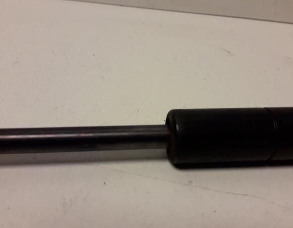 Gas Spring AUDI A4 Avant (8E5, B6)