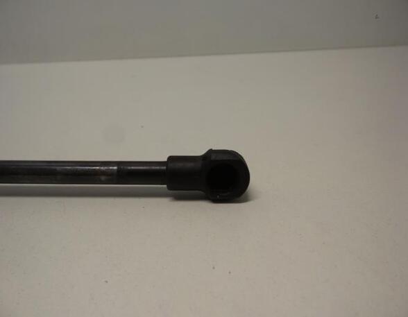 Gas Spring AUDI A3 (8L1)