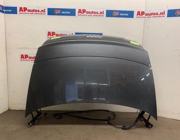 Boot (Trunk) Lid AUDI TT Roadster (FV9, FVR)