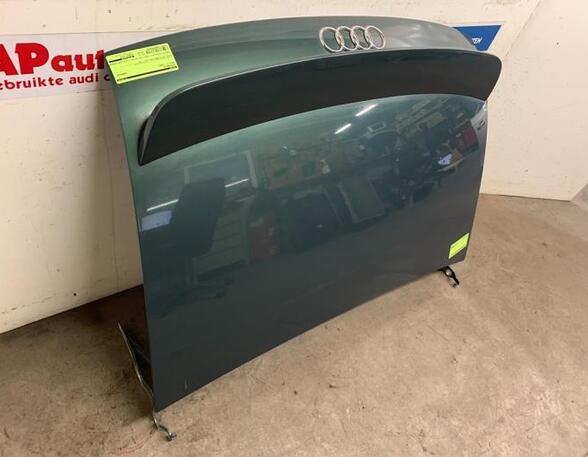 Boot (Trunk) Lid AUDI TT Roadster (8N9)