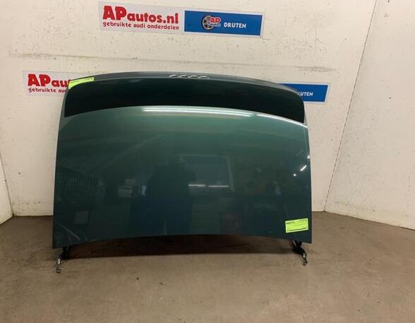 Boot (Trunk) Lid AUDI TT Roadster (8N9)