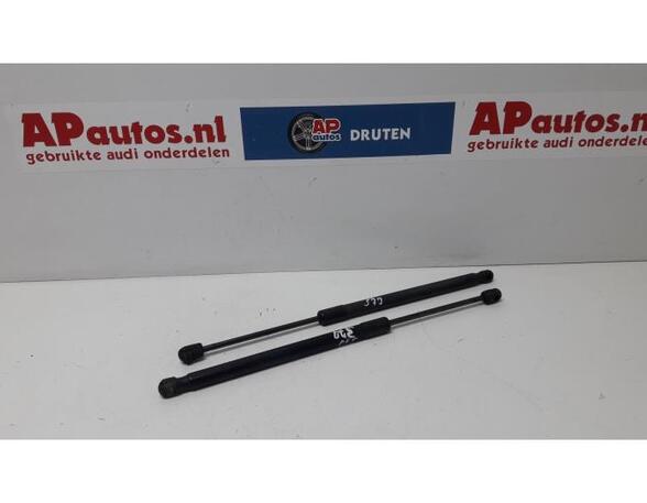 Bootlid (Tailgate) Gas Strut Spring AUDI TT (8J3)