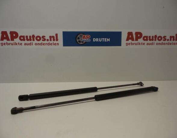 Bootlid (Tailgate) Gas Strut Spring AUDI A3 (8L1)