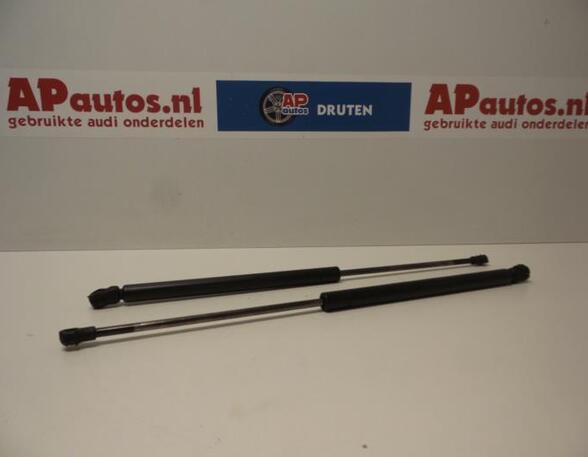 Bootlid (Tailgate) Gas Strut Spring AUDI A3 (8L1)