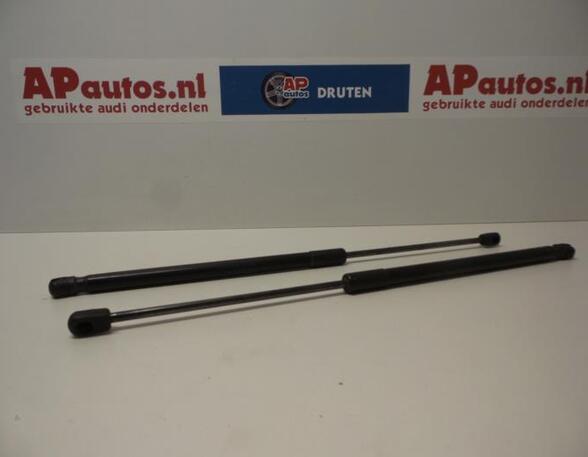 Bootlid (Tailgate) Gas Strut Spring AUDI A3 (8P1), AUDI A3 Sportback (8PA)