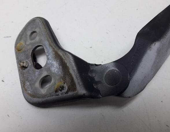 Bonnet Hinge AUDI A6 Avant (4F5, C6)