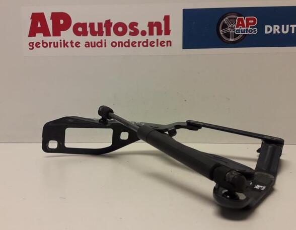 Motorhaubenscharnier links Audi TT 8N 8N0823359 P9817113