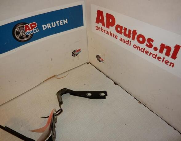 Bonnet Hinge AUDI A3 (8L1)