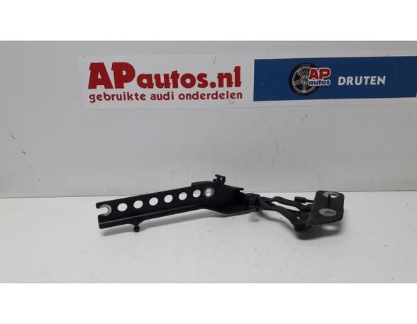 Bonnet Hinge AUDI A8 (4E2, 4E8)