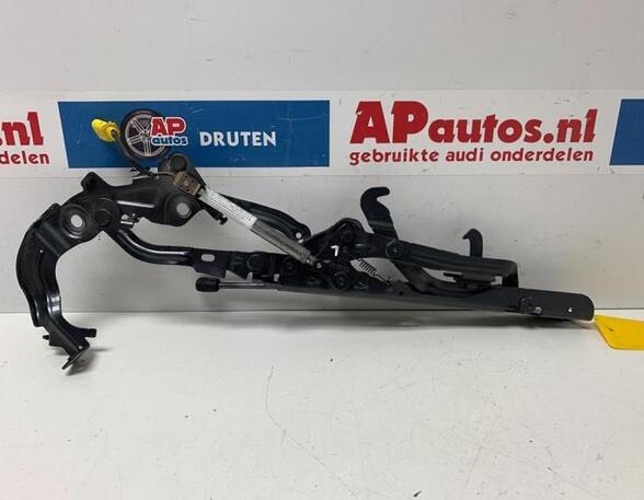 Bonnet Hinge AUDI TT Roadster (FV9, FVR)