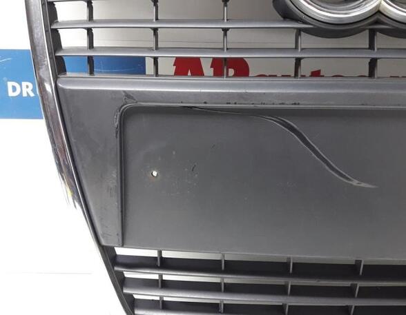 Radiator Grille AUDI A6 Avant (4F5, C6)