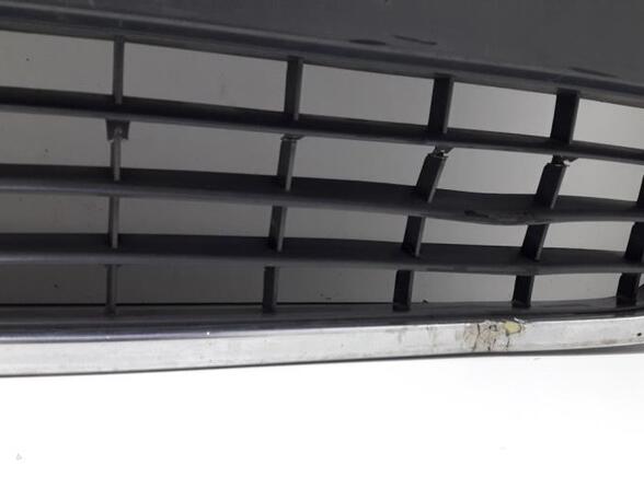 Radiator Grille AUDI A6 Avant (4F5, C6)