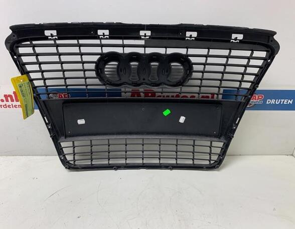 Radiator Grille AUDI A6 Avant (4F5, C6)