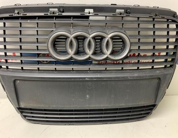 Radiator Grille AUDI A6 Avant (4F5, C6)