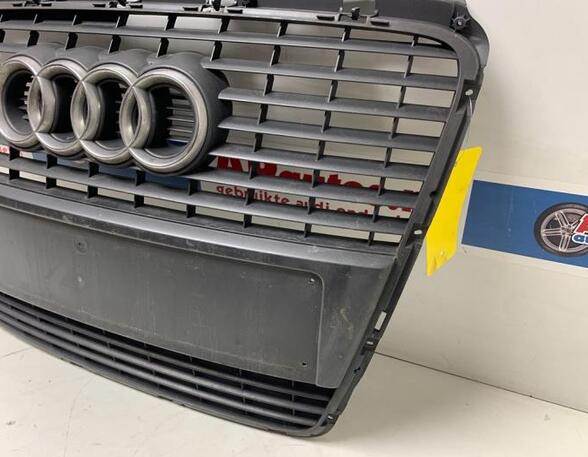 Radiator Grille AUDI A6 Avant (4F5, C6)