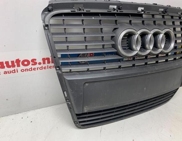 Radiateurgrille AUDI A6 Avant (4F5, C6)