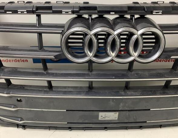 Radiator Grille AUDI Q5 (FYB, FYG)