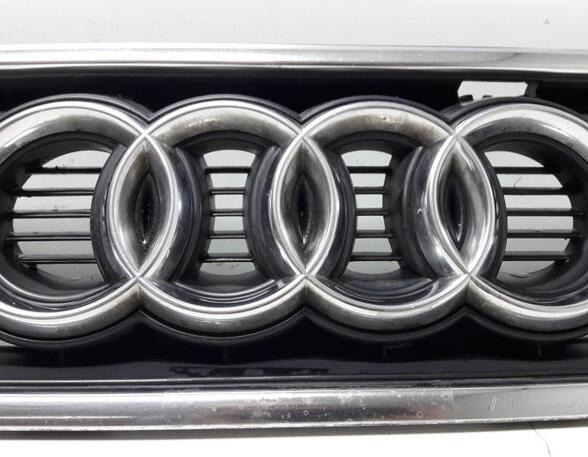 Radiateurgrille AUDI A6 (4B2, C5)