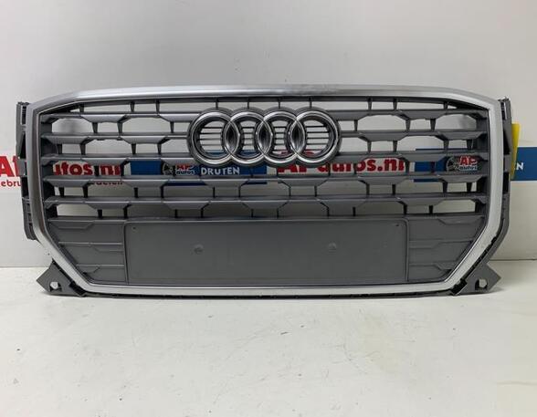 Radiateurgrille AUDI Q2 (GAB, GAG)