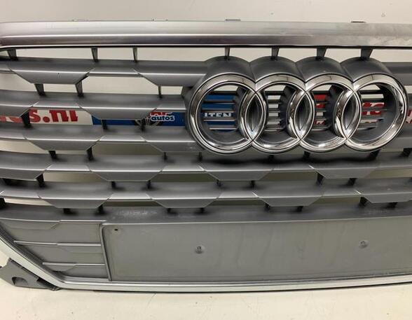 Radiateurgrille AUDI Q2 (GAB, GAG)