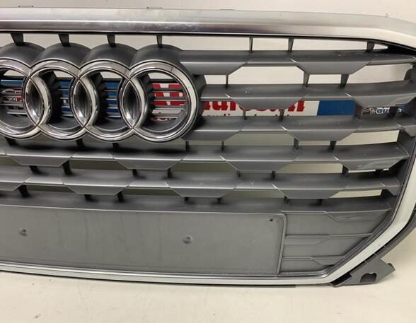 Radiateurgrille AUDI Q2 (GAB, GAG)