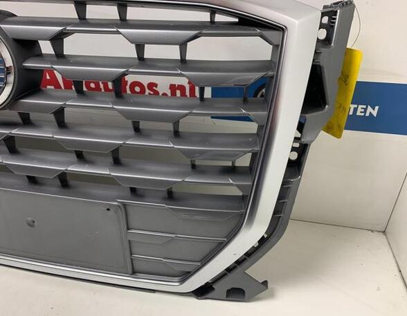 Radiateurgrille AUDI Q2 (GAB, GAG)