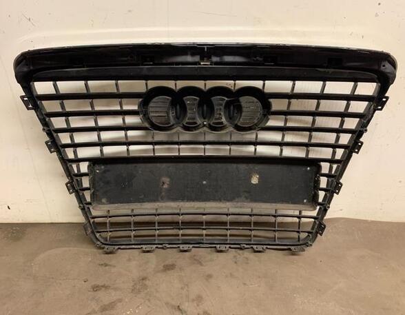 Radiator Grille AUDI A6 (4F2, C6)