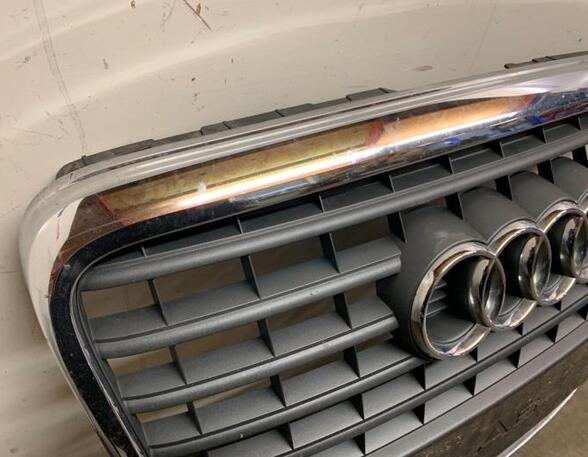 Radiator Grille AUDI A6 (4F2, C6)