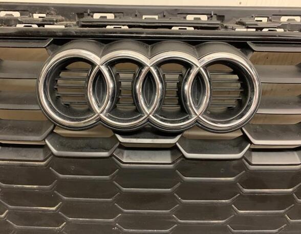 Radiateurgrille AUDI A3 Limousine (8YS)