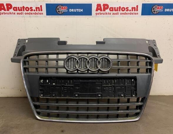 Radiator Grille AUDI TT (8J3)