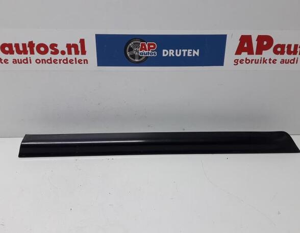 Trim Strip Door AUDI A6 Avant (4B5, C5), AUDI ALLROAD (4BH, C5)