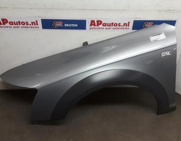 Wing AUDI A6 Allroad (4FH, C6), AUDI A6 Avant (4F5, C6)