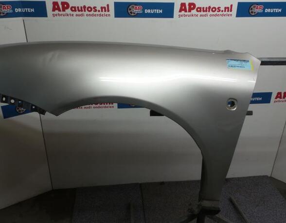 Spatbord AUDI A3 (8L1)