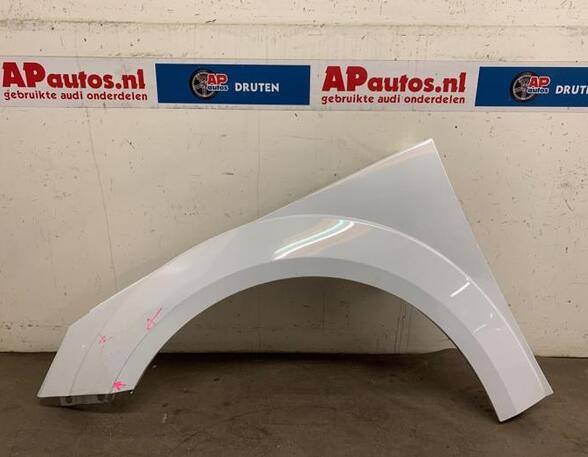 Spatbord AUDI TT (FV3, FVP)